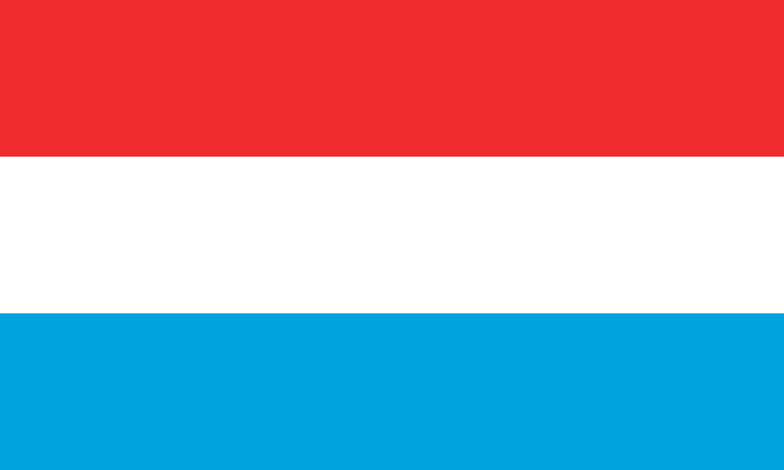Princeps Civitatis Flag