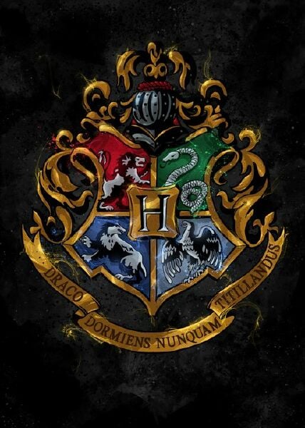 HOGWARTD is a new founder of THE DUMBLEDORE'S ARMY