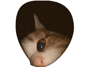 0ad6a89e270563a7110da57e5c03062bbb409477x314.gif
