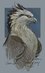 National Animal Image