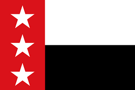 Back to the Mines Flag