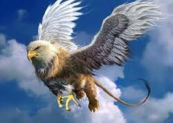 National Animal Image