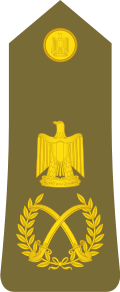 10d1b27167975ce23584b88005f9cf3897524a38x875.png
