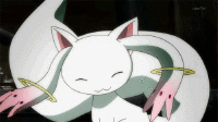 Magical Cat-Rabbit-ish Worshiper