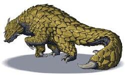 National Animal Image
