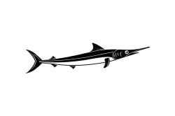 National Animal Image