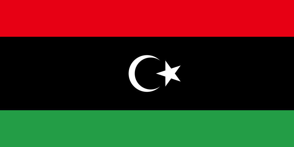 2020 Flag