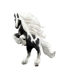 National Animal Image