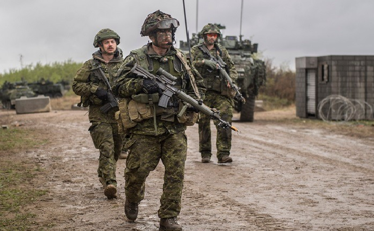 Canadian military forces arrive in the Furry Empire to help fight off Parsedean Empire.
