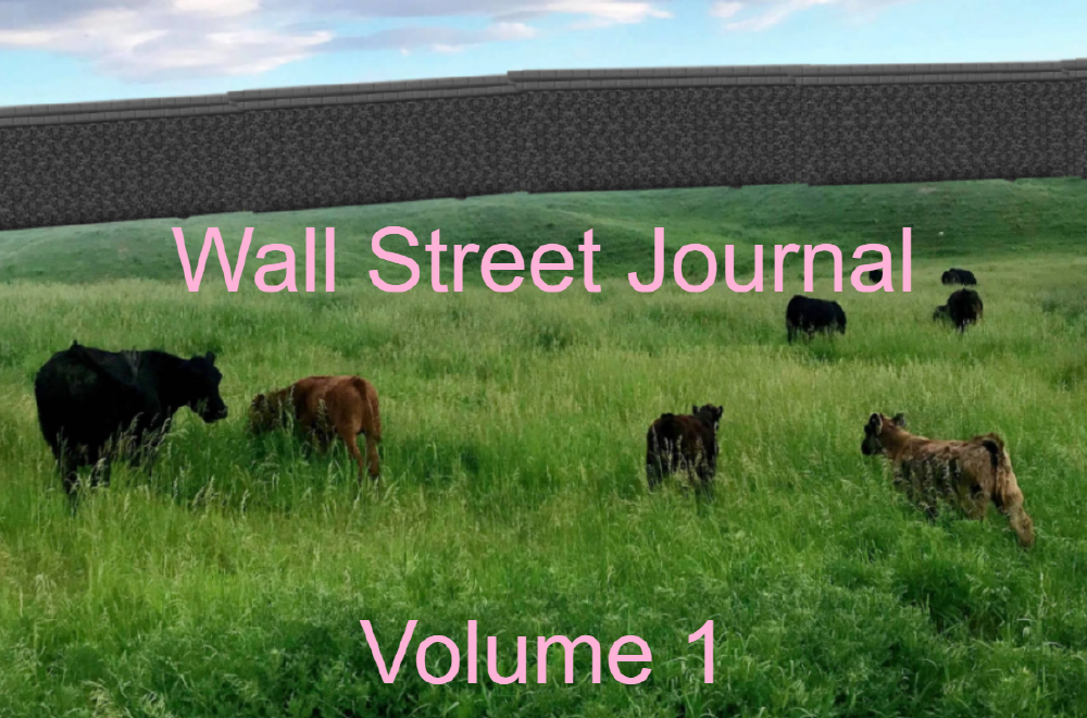 Wall Street Journal: Volume 1