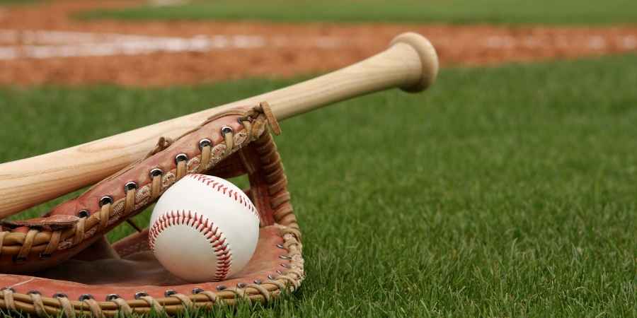 Zamland invest much in Baseball
