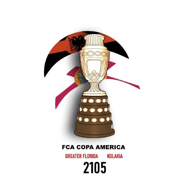 Copa America 2105 Summary