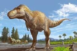 National Animal Image