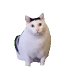 National Animal Image