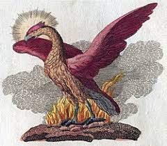 National Animal Image