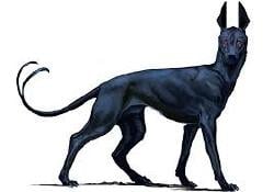 National Animal Image