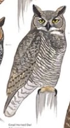 National Animal Image
