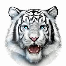 National Animal Image