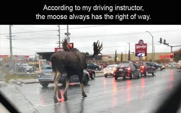 Demonstrations in The Republic Of Alaska capital