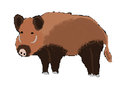 National Animal Image