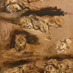 National Animal Image