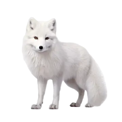 National Animal Image