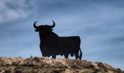 National Animal Image