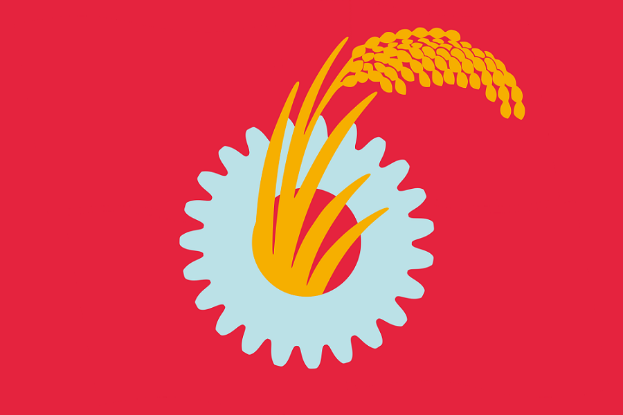 Nuclear Capable Flag