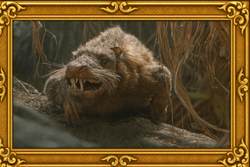 National Animal Image