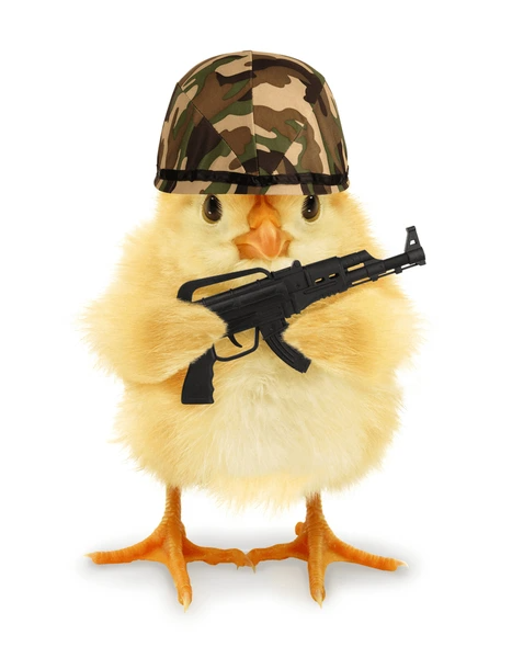 Chicken Militia Upgrade: Chick Militants