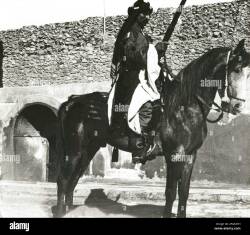 National Animal Image