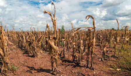 Mjlands declares state of emergency due to dryness, drout and water shortage.