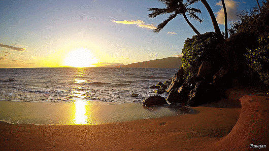 66002b184546eaf36586051f7ea7424fd5aa87f8x237.gif
