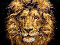 National Animal Image