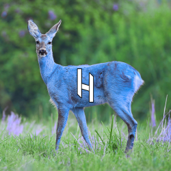 National Animal Image