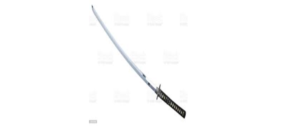 Robber Killled by Homeowner with Samuri Sword