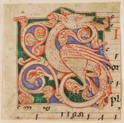National Animal Image