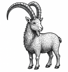 National Animal Image