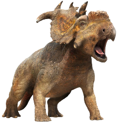 National Animal Image