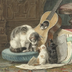 National Animal Image