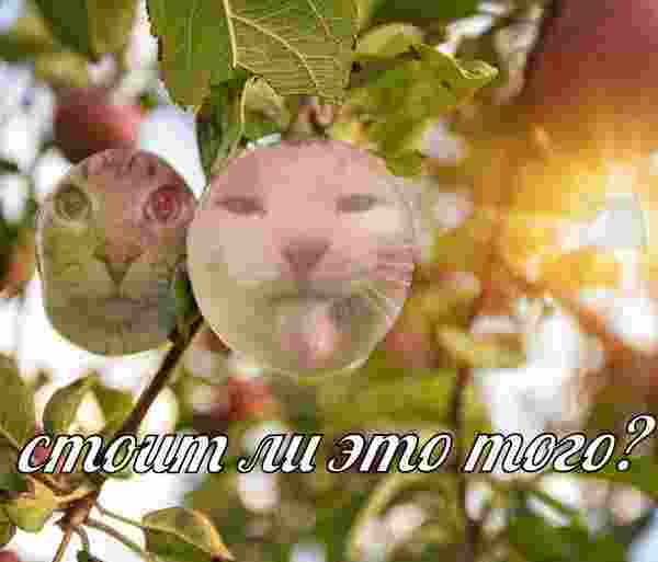 78a139249e0752c2b7caeabcd7c7fdb802f5d5e2x819.png