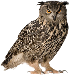 National Animal Image