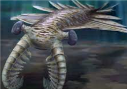 National Animal Image