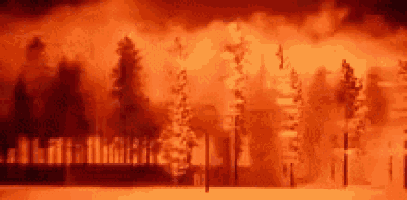 81bb0ab6c368a8f4ec6f34cf2c333306e1d9e8e0x863.gif