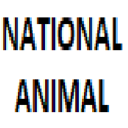 National Animal Image