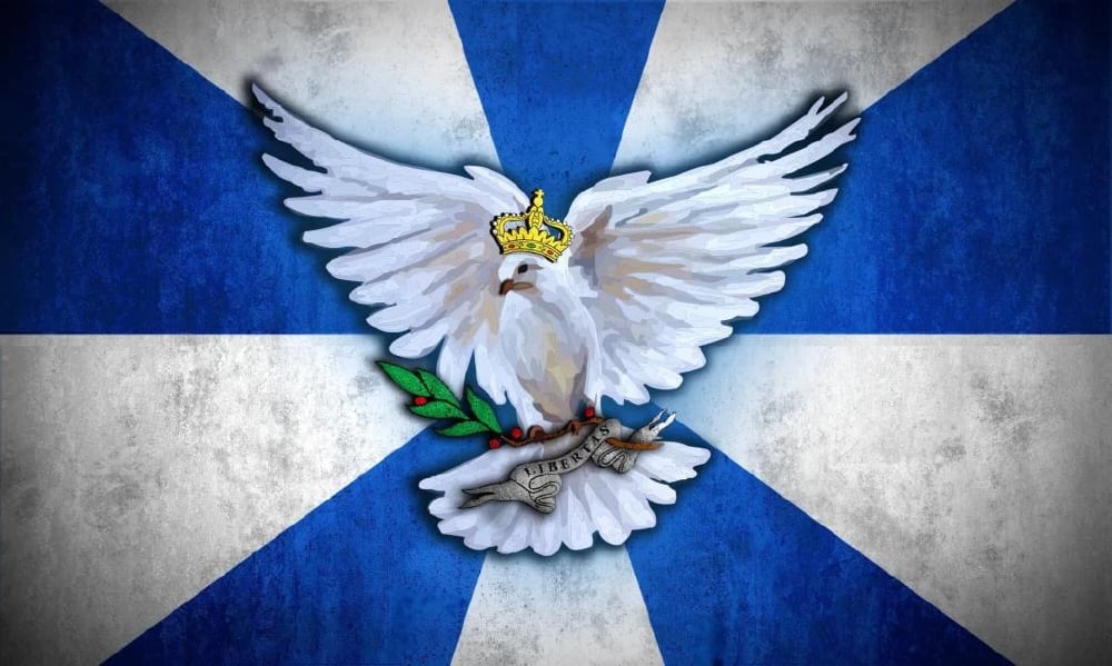 Back to the Mines Flag