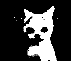 National Animal Image