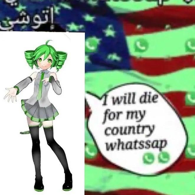 96c5216b6bc6ebc0654a523415d545b3c9cb5350x772.jpeg