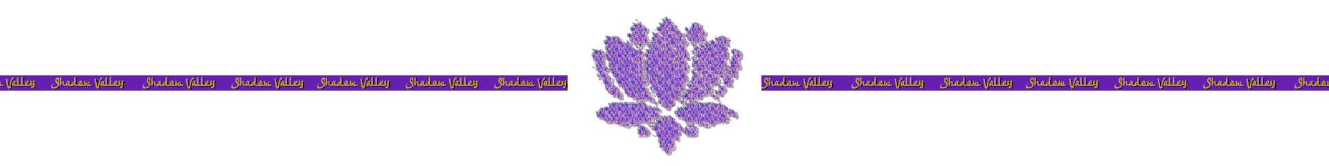 9797185ed7cc7f2aad4975d4f5e0a733e86beee2x676.png