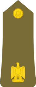 9ef995d7f88bb75f28a9090eec4fc82186c90f49x215.png